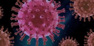 Sequenziato il genoma del virus SARS-CoV-2 che circola in Sicilia