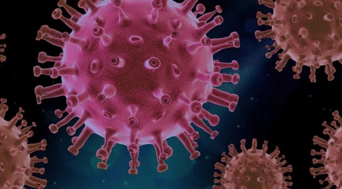 Sequenziato il genoma del virus SARS-CoV-2 che circola in Sicilia