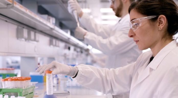 Biotech e ricerca per la ripartenza sostenibile del Paese