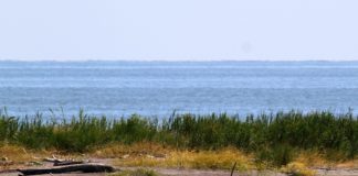 Emilia Romagna, per il mare del Delta del Po arriva la tutela ambientale