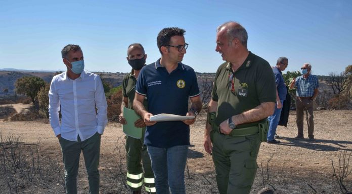 Diminuiti gli incendi in Sardegna, contro i roghi spesi 30 milioni