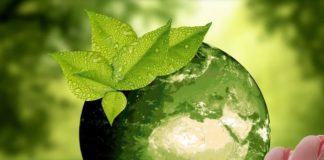 Un terzo delle famiglie evita di acquistare prodotti non sostenibili