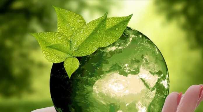 Un terzo delle famiglie evita di acquistare prodotti non sostenibili