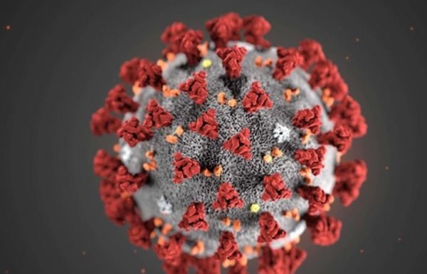 Coronavirus, 11 decessi e 282 nuovi contagi nelle Marche