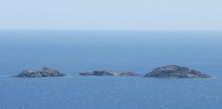 Sardegna, Lampis “Stanziato 1 mln per interventi di tutela ambientale”