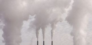 Novartis ed Enel X, studio rapporto ambiente e salute all’assemblea Anci