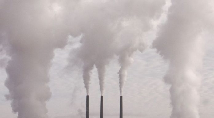 Novartis ed Enel X, studio rapporto ambiente e salute all’assemblea Anci