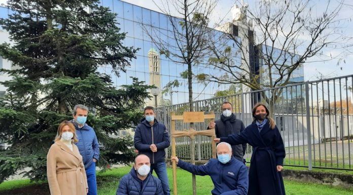 Snam, piantato il primo albero di una foresta di 3 mila piante