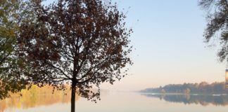 Violenza donne, dieci panchine rosse all’Idroscalo di Milano