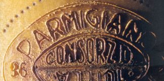 Parmigiano Reggiano, da falso Parmesan danni da 2 miliardi