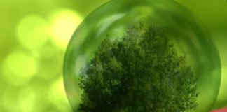 Ardian e A2A, accordo di cooperazione per lo sviluppo di idrogeno verde