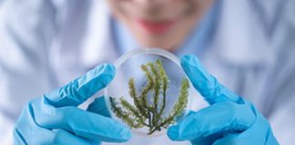 Fasolino “Crs4 e Regione Sardegna avanti con innovazione e sviluppo”