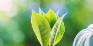 Certificazione Herambiente per impegno su sostenibilità