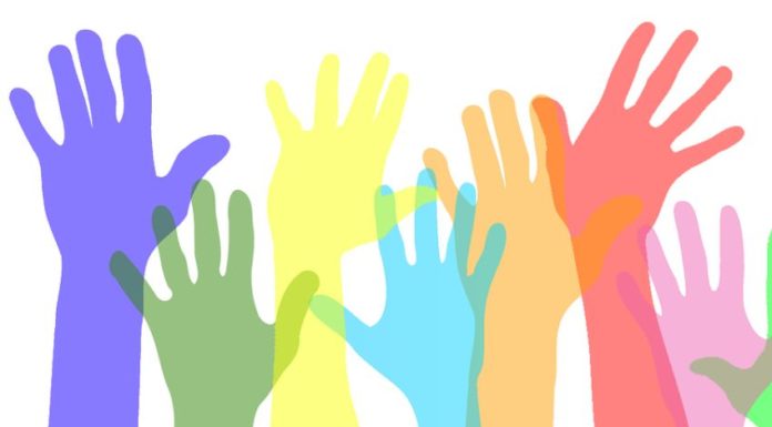 Servizi welfare territoriali, imprese sociali al Sud