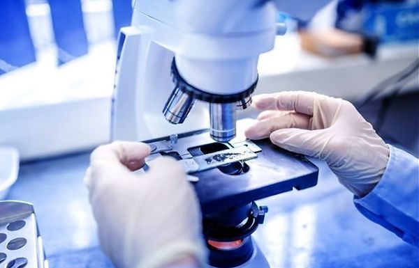 Novartis, nei prossimi 3 anni 250 milioni di euro sulla ricerca