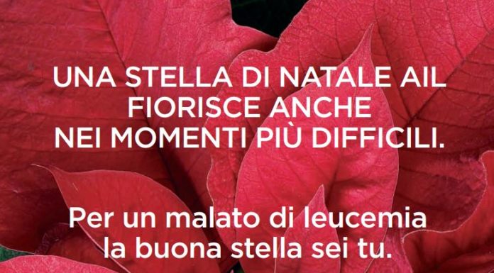 Lotta alle leucemie, tornano le Stelle di Natale dell’AIL