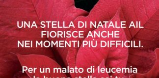 Lotta alle leucemie, tornano le Stelle di Natale dell’AIL