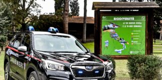 Subaru Forester e-Boxer pronta a sorvegliare i parchi nazionali