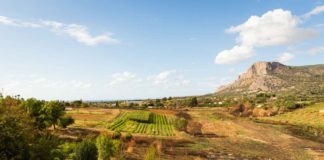 Fpt Industrial e Slow Food a sostegno comunità del cibo sostenibile