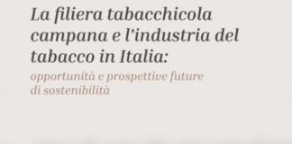 La Campania è il primo produttore italiano di tabacco