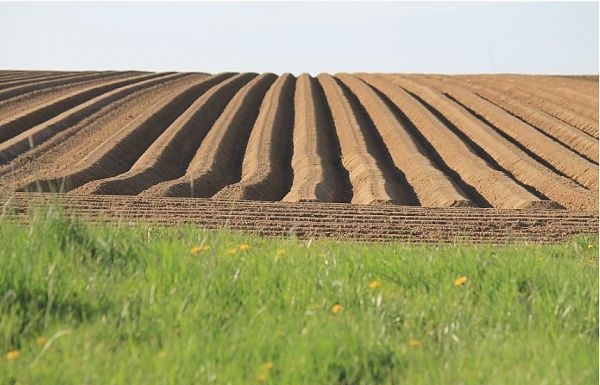 Per Nestlè obiettivo zero emissioni entro il 2050