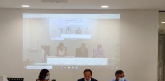 Il Tar dà ragione a Cirio, Dad in Piemonte per ultime classi scuole medie