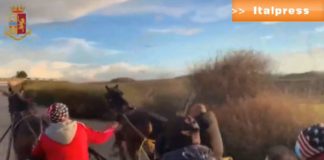 Corsa clandestina di cavalli, 38 denunce nell’agrigentino