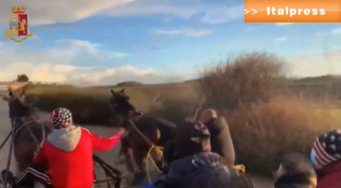 Corsa clandestina di cavalli, 38 denunce nell’agrigentino