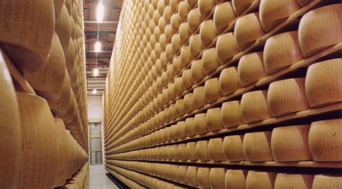 Parmigiano Reggiano, in bilancio preventivo 2021 ricavi a 51,8 milioni