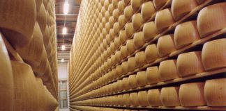 Parmigiano Reggiano, in bilancio preventivo 2021 ricavi a 51,8 milioni