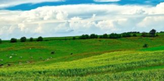 Psr, in Sardegna superato l’obiettivo di spesa per il 2020