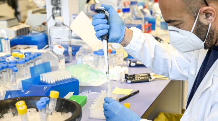 Covid, UPS: “Pronti a consegnare i vaccini in tutta Europa”