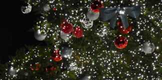 Buon Natale dall’agenzia Italpress