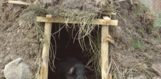 Salumi: biodiversità, territorio e salute