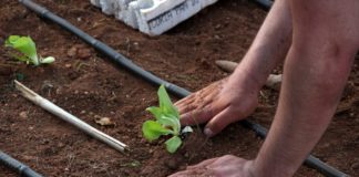 I territori che ripartono da sviluppo sociale e inclusione