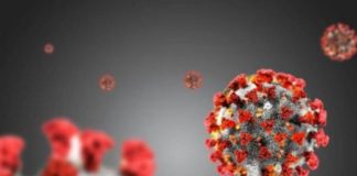 Coronavirus, in Sardegna 194 nuovi casi e 9 decessi