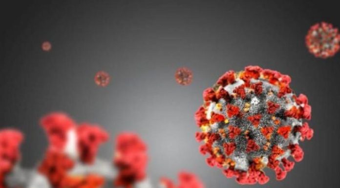 Coronavirus, in Sardegna 194 nuovi casi e 9 decessi