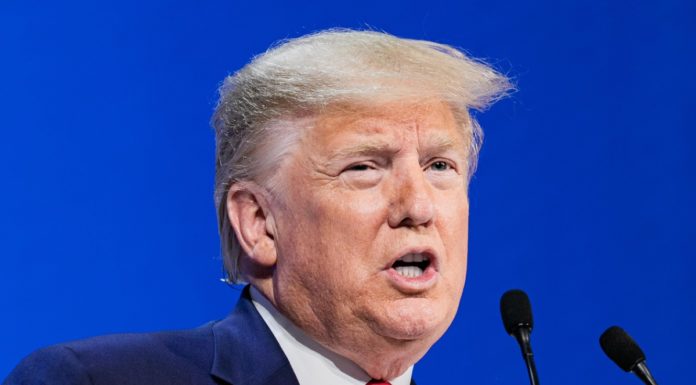 Voto Usa, polemiche per le pressioni di Trump sulla Georgia