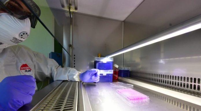 Coronavirus, 10.800 casi e 348 vittime in 24 ore