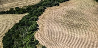 Istat, al via il Censimento generale dell’Agricoltura