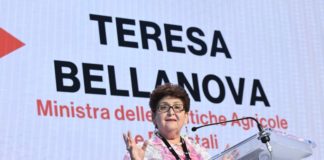 Governo, Bellanova “O si cambia metodo o le persone”