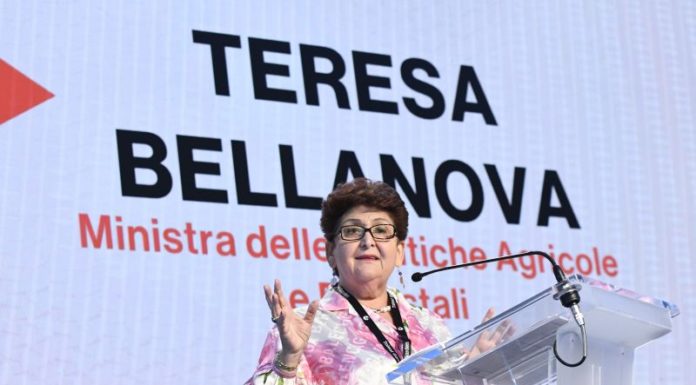 Governo, Bellanova “O si cambia metodo o le persone”