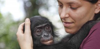 Alessandra Prampolini nuovo direttore generale del Wwf Italia