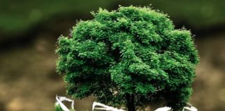 Approvato il procedimento unico ambientale in Sardegna