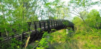 Al mare in bici con pista 27 km da Castrocaro a Lido di Dante