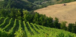 Nel Lazio in arrivo 1 mln per 17 filiere agroalimentari