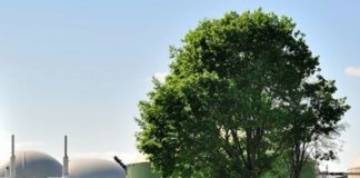 Gas for Climate, in Ue target vincolante 11% gas rinnovabili al 2030