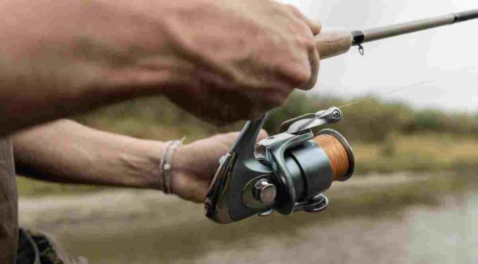 Eliminata contraddizione tra le Faq su pesca sportiva