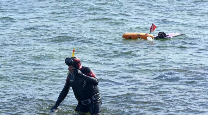 Covid, in arrivo 300 mila euro per i pescatori subacquei in Sardegna