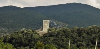 Parco Maremma, via libera a bilancio esercizio 2019